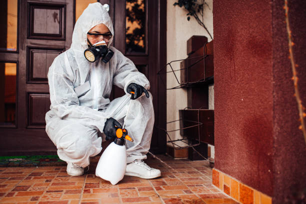 Reliable Wasp Removal contractor in Lake Shore, MD by Show Me Pest Control